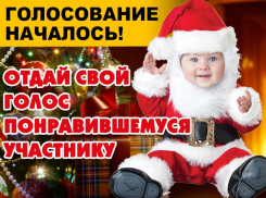  Стартовало голосование в конкурсе «Лучший детский новогодний костюм-2020»