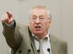 Из–за Владимира Жириновского накажут подростка в селе под Волгоградом