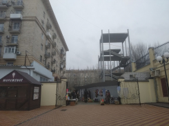 Фуд-корт семьи волгоградского депутата Колесникова потребовали проверить в Генпрокуратуре