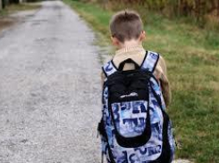 В Волгограде 13-летний мальчик задержан за «заминирование» школы