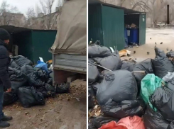 «Почему вы тут навалили?»: УКашников в Волгограде поймали на грязных делах