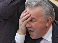 Брянско-ростовско-волгоградский депутат готов принимать подарки и улыбки