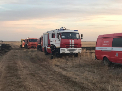 Массовые пожары в Волгоградской области локализованы