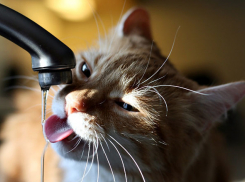 На двое суток оставили без воды жителей Красноармейского района Волгограда