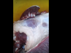 Бьющееся в куске мяса сердце обнаружили волгоградцы на праздновании Курбан-байрама