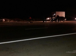 Водитель Skoda Octavia насмерть сбил 39-летнего пешехода на трассе под Волгоградом