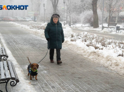 В день «Черной пятницы» Волгоград накроют геомагнитные бури и мокрый снег 