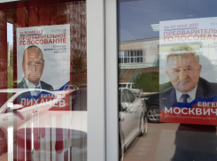 Мэр Волгограда и депутат из Брянска пиарятся на мёртвых животных