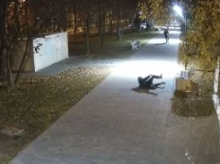 Сломали саженцы и систему полива: двое молодчиков разгромили сквер под Волгоградом 