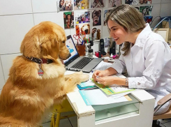 Любовь к животным – профессия по призванию
