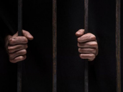 Волгоградцы требуют смертной казни для педофилов
