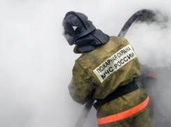 В Волгограде при пожаре обрушилась «Городищенская птицефабрика»