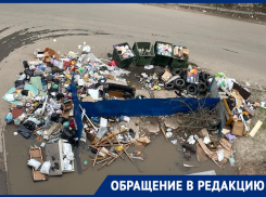 Крысы поселились на мусорных завалах у 9-этажек в Волгограде