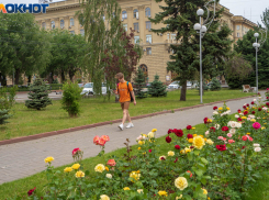Грозы с ветром обещают синоптики в Волгоградской области 