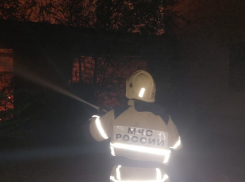 Мать и сын погибли при пожаре в центре Волгограда 