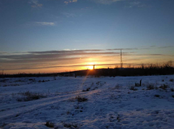 Волгоград все увереннее прогоняет зиму