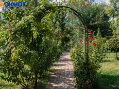 На корпоративе в парке Волгограда мужчина бутылкой раскроил череп коллеге