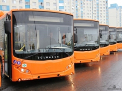 Чиновники добились своего: большинство волгоградцев ездят на автобусах