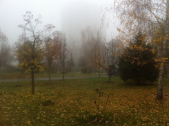 Изменения в волгоградский соцкодекс из-за пенсионной реформы примут 13 сентября