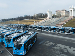 Перевозчика на троллейбус №8а срочно ищут в Волгограде
