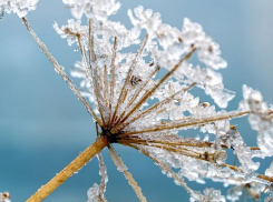 Волгоградцев ждет морозная ветреная пятница