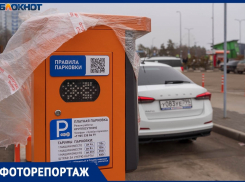 «Какой баран сюда поедет?»: тарифы платной парковки у ТРК «Европа Сити Молл» шокировали в Волгограде