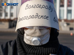 «Волгоградские депутаты облдумы опять нас обманули!»: сразу три видеообращения записали Путину сторонники местного времени