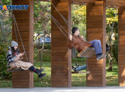 Погода балует волгоградцев: тепло до +13º и безветренно будет 5 ноября