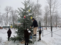 Жители Волгограда украсят елки во дворах «винтажными» игрушками 