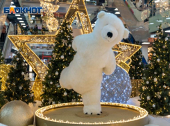 Как работают крупные торговые центры в Волгограде 31 декабря 