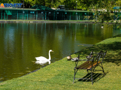 Небольшие осадки и тепло до +15 градусов: погода в Волгограде и области на 10 мая