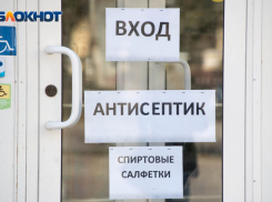 В Волгоградской области выявили первый случай «свиного» гриппа 