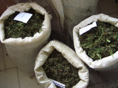 В Волгограде за продажу «спайса» на 10 и 8 лет осуждены безработный и сапожник