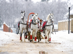 В Волгограде на Масленичной неделе ожидаются сильные морозы