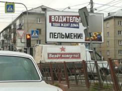 Волгоградцы позавидовали водителю, которого дома ждут пельмени