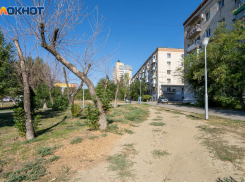 В Волгограде три депутата сложили свои полномочия