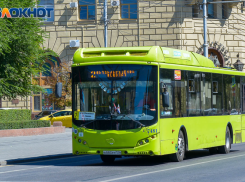 Мэрия Волгограда обвинила климат в убийстве автобусов