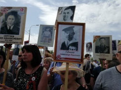 «Бессмертный полк» начал свое шествие в Волгограде