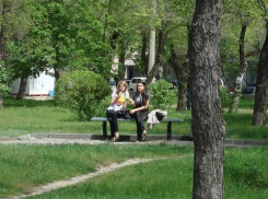 Волгоград сделают чистым и зеленым