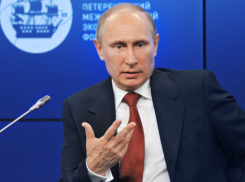 Владимир Путин приказал найти виновных в пожарах в Волгоградской области