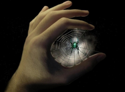  ﻿В Волгограде мистические пауки музейных подвалов предскажут человеческую судьбу