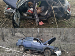 Водитель без прав устроил смертельное ДТП в Волгоградской области