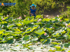 Геомагнитная буря и облачность ожидаются 26 мая в Волгограде