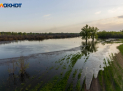 В Волгоградской области 1 мая похолодает до -3 градусов