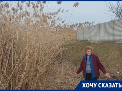 «Возможно возгорание жилых домов»: волгоградцы показали 3-метровый камыш у дома