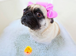 На 20 дней останутся без горячей воды жители запада Волгограда 