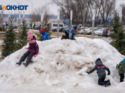 В Волгограде две маленькие девочки совершили преступление под давлением 41-летней матери 