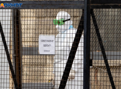 37-летняя волгоградка умерла от коронавируса