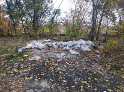  Горы мусора на костях защитников Сталинграда в лесополосе обнаружил волгоградский общественник