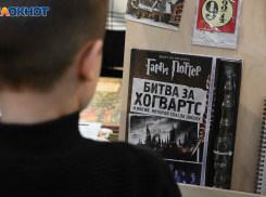 Вечер Гарри Поттера, хиты «Короля и Шута» и «Душа» глазами философа: куда пойти в Волгограде 10-12 февраля
